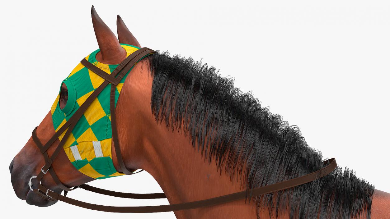 3D model Bay Racing Horse Fur