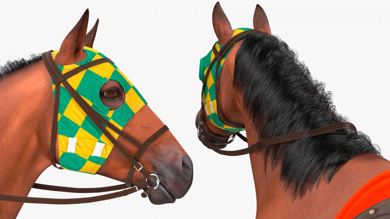 3D model Bay Racing Horse Fur