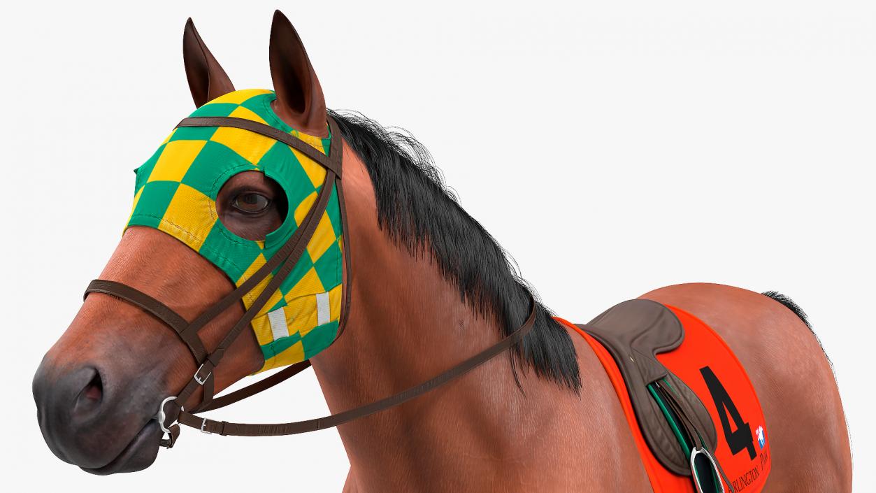 3D model Bay Racing Horse Fur