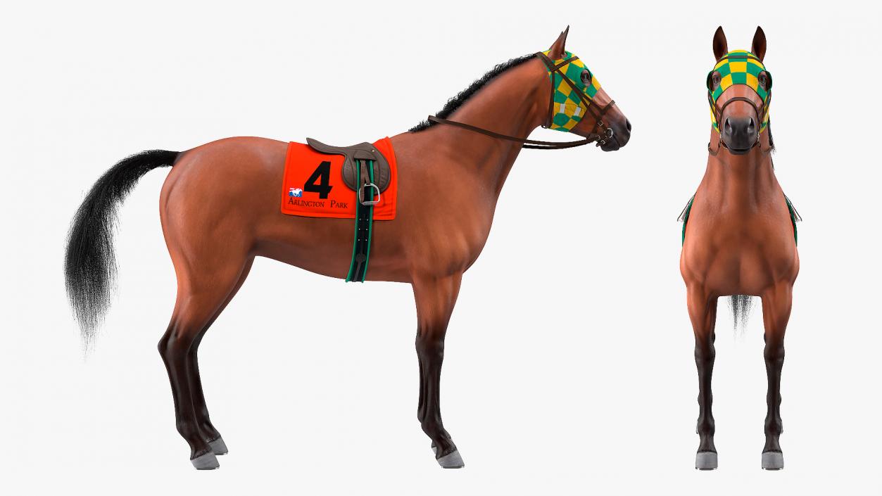 3D model Bay Racing Horse Fur