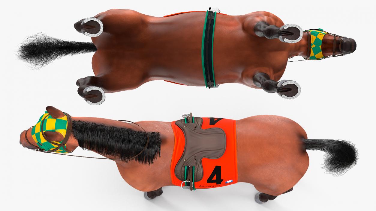 3D model Bay Racing Horse Fur