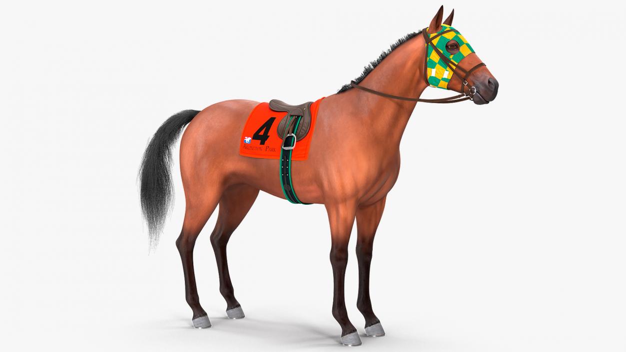 3D model Bay Racing Horse Fur