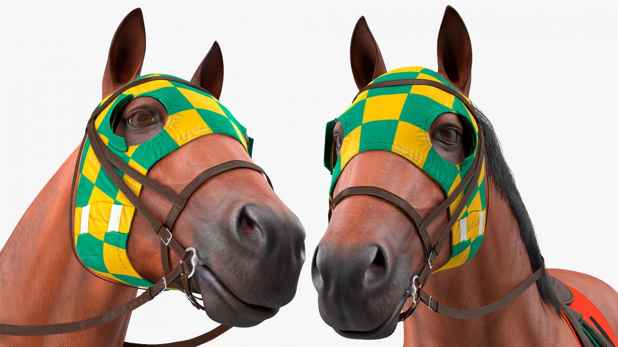 3D model Bay Racing Horse Fur