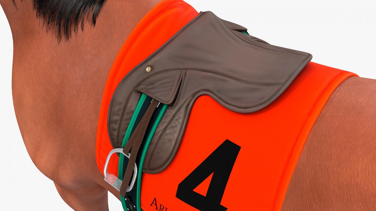 3D model Bay Racing Horse Fur