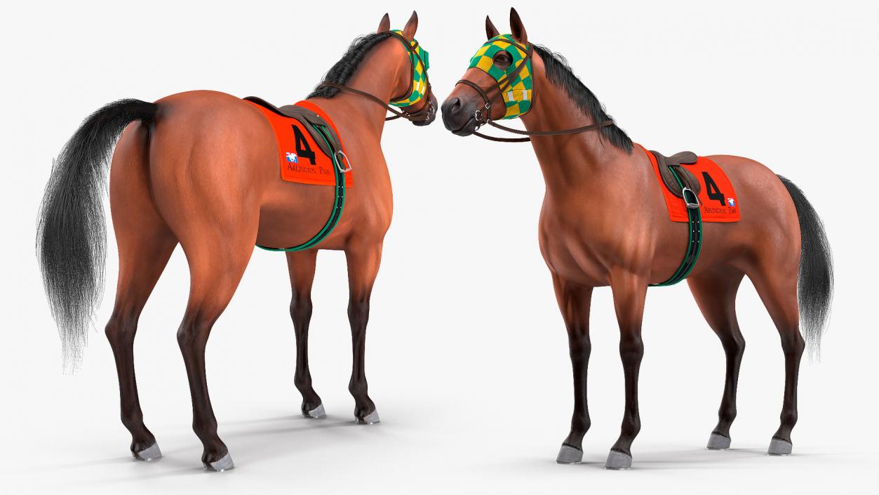 3D model Bay Racing Horse Fur