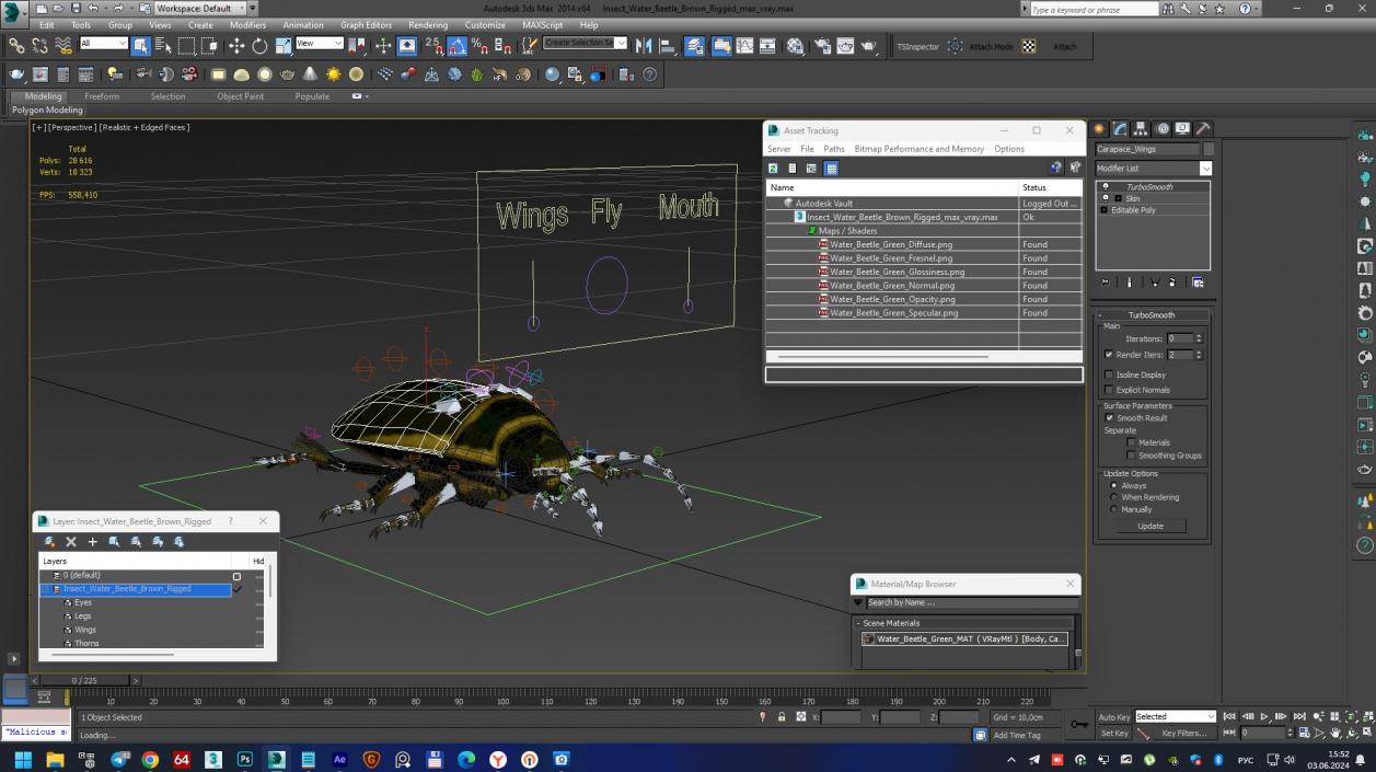 3D Insect Water Beetle Brown Rigged for Maya