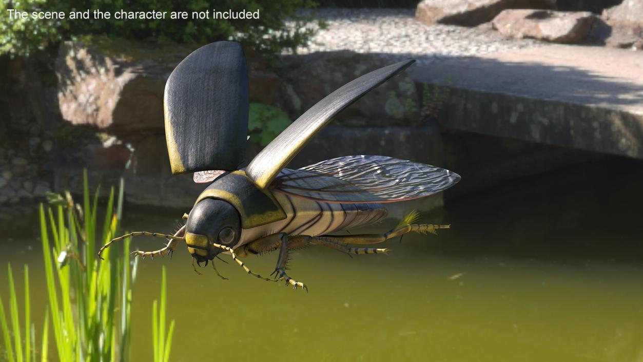 3D Insect Water Beetle Brown Rigged for Maya