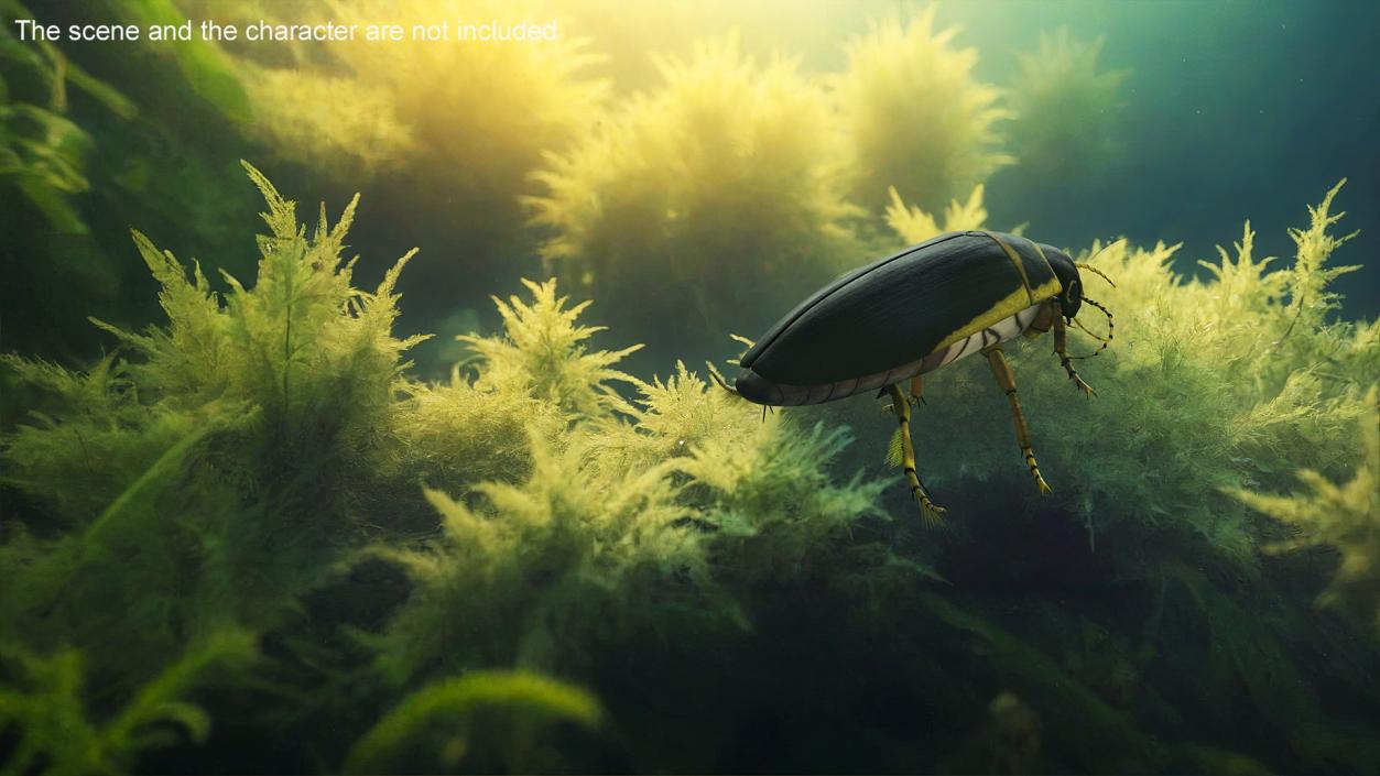 3D Insect Water Beetle Brown Rigged for Maya