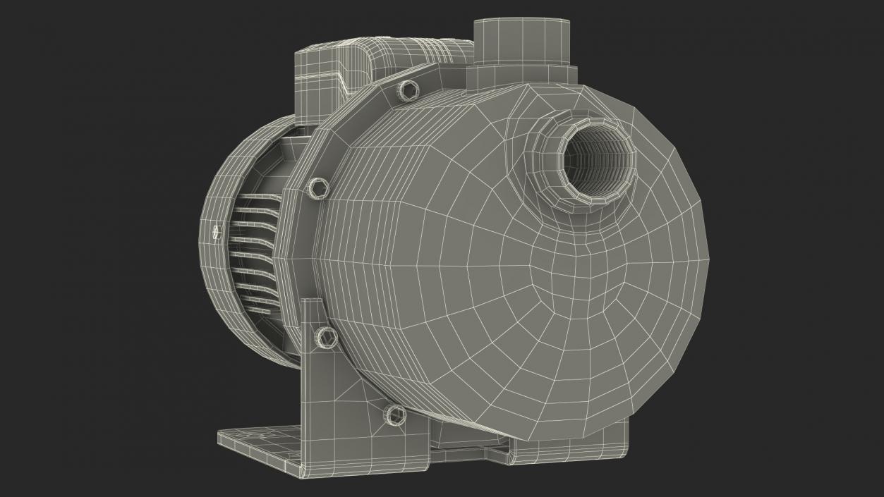 Centrifugal Water Pump 3D