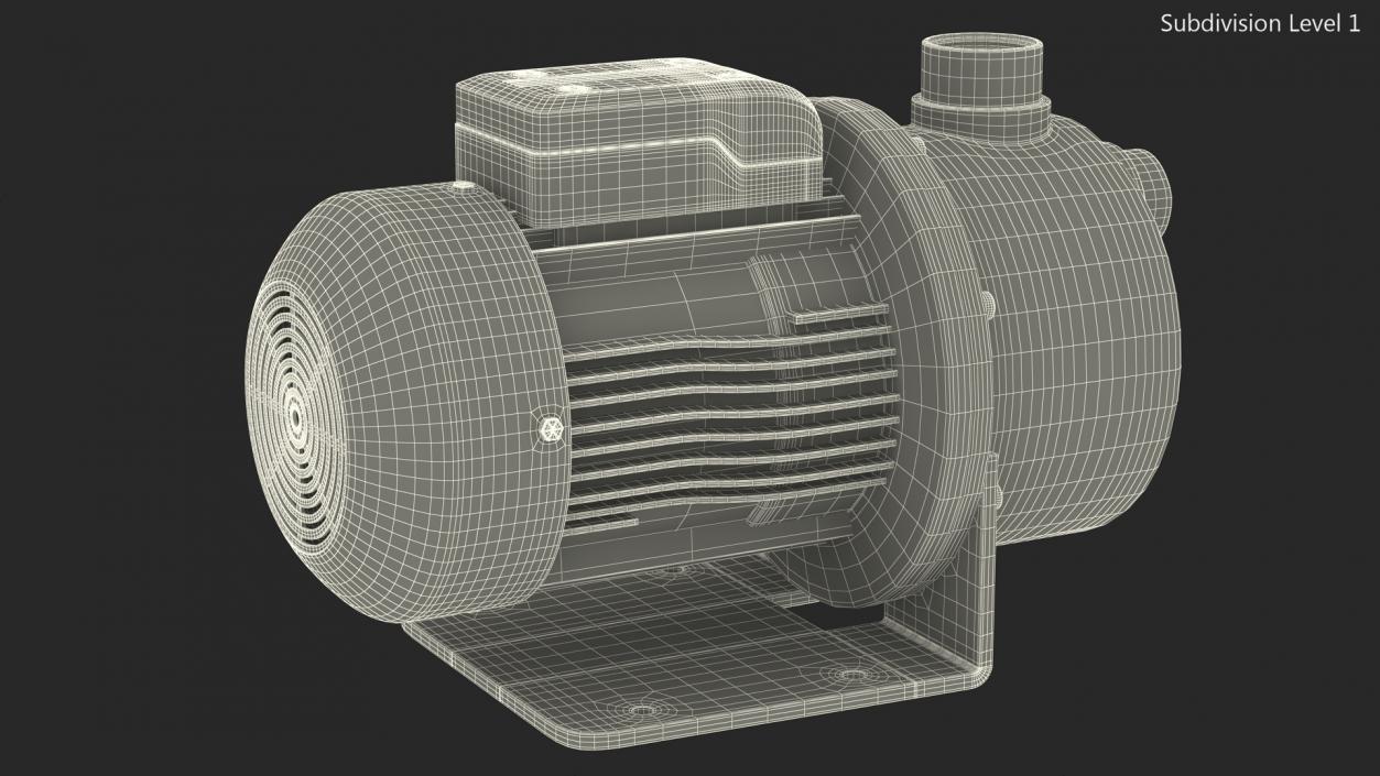 Centrifugal Water Pump 3D