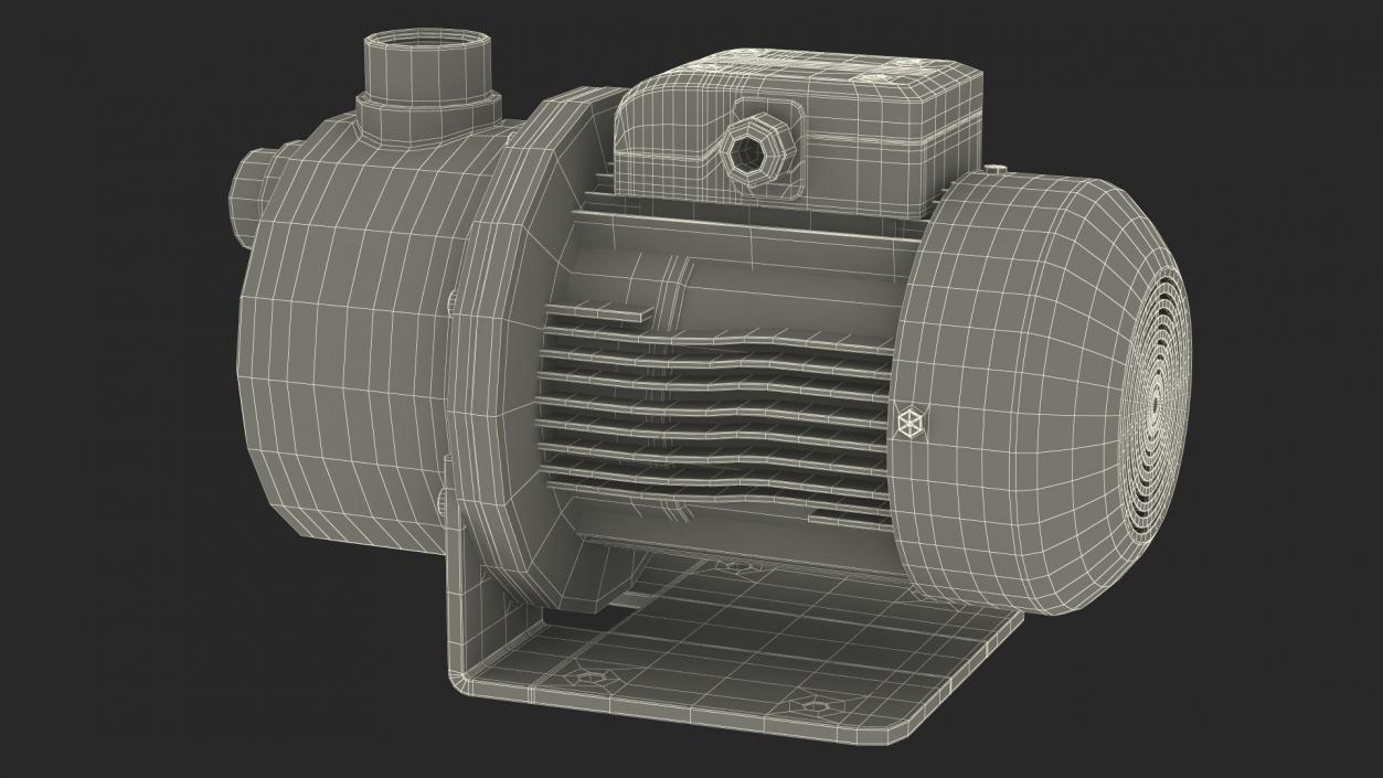 Centrifugal Water Pump 3D