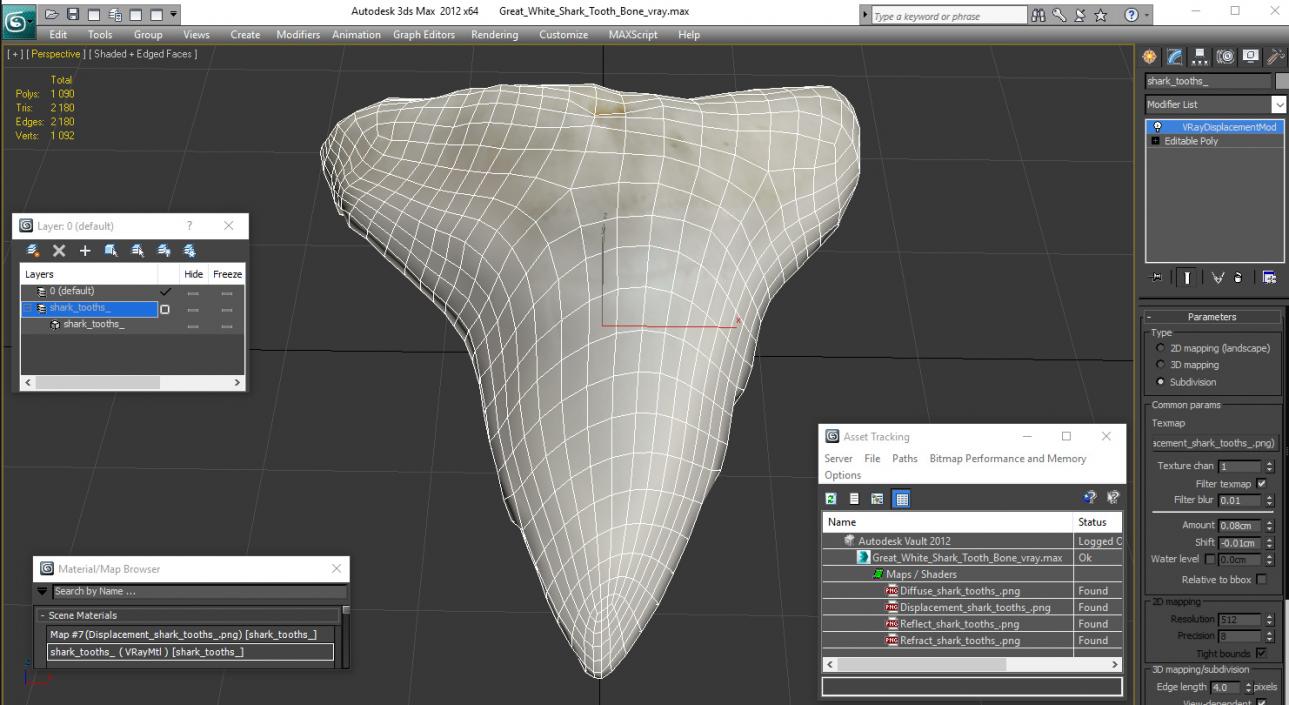 3D Great White Shark Tooth Bone model