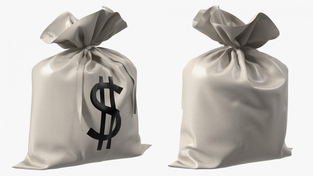 3D Money Bag with Dollar Sign