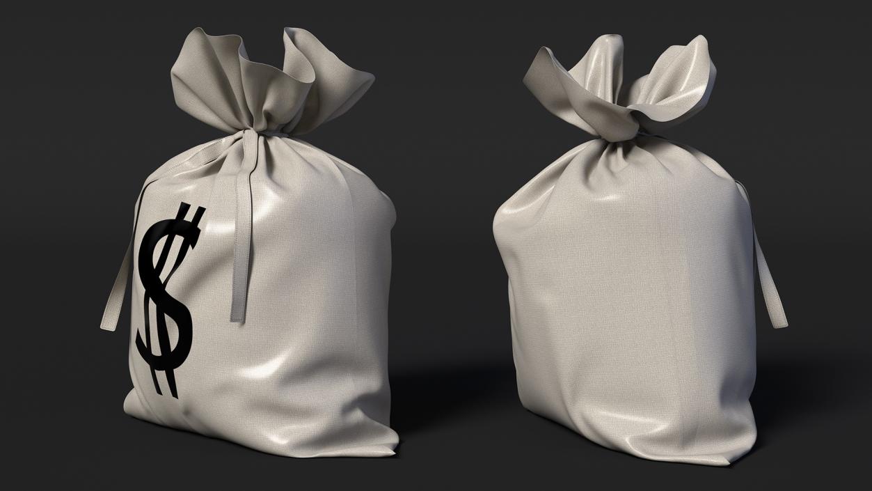 3D Money Bag with Dollar Sign