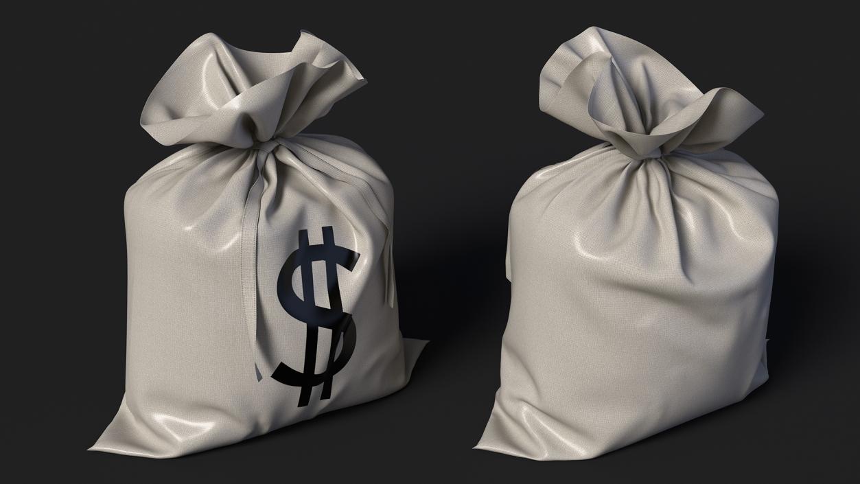 3D Money Bag with Dollar Sign