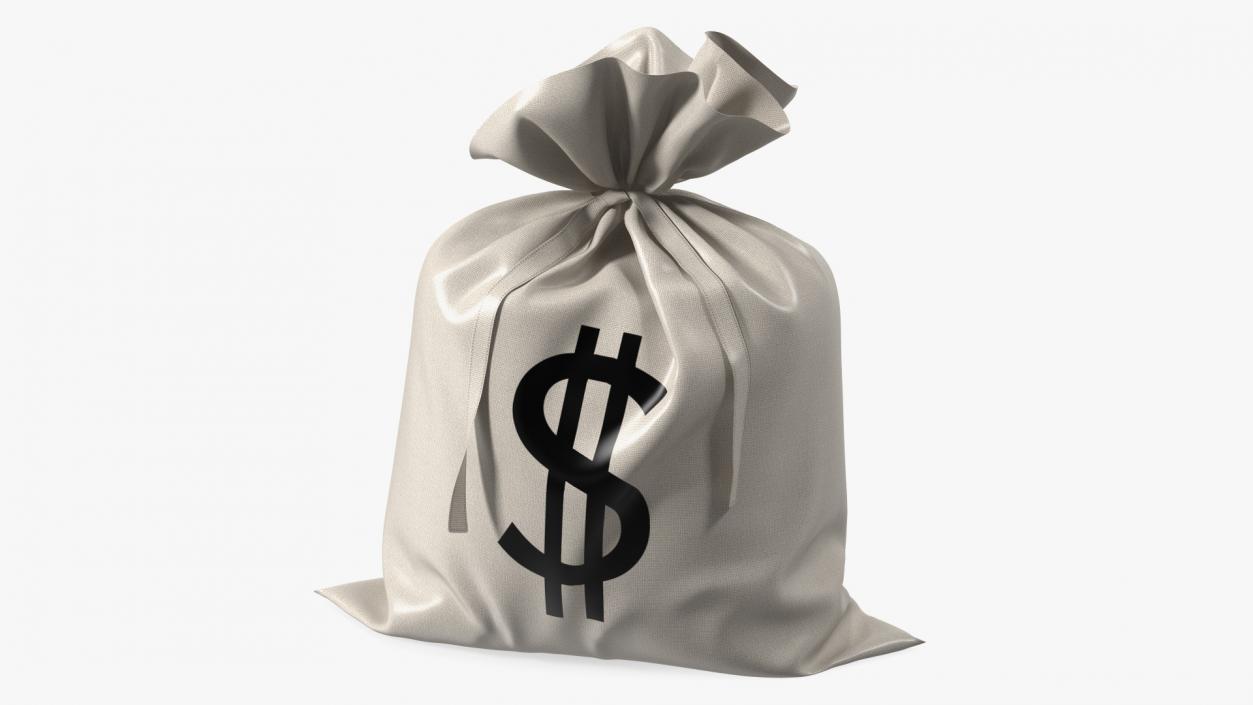 3D Money Bag with Dollar Sign