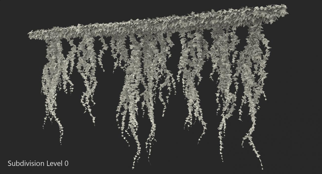 Ivy Branches 3D