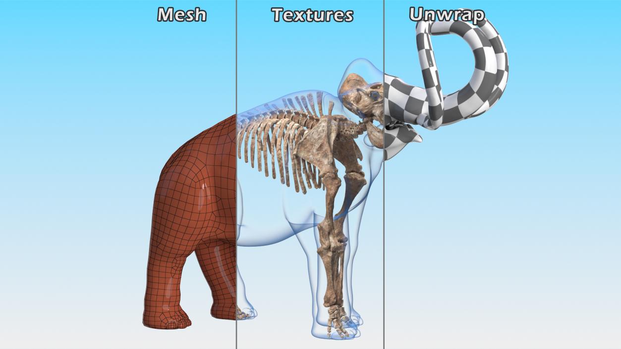 Adult Mammoth Old Skeleton Shell Roar 3D