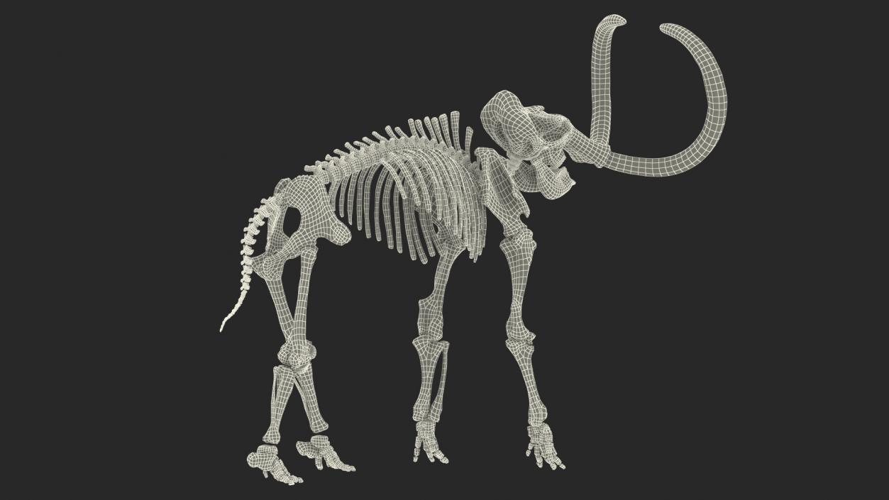 Adult Mammoth Old Skeleton Shell Roar 3D