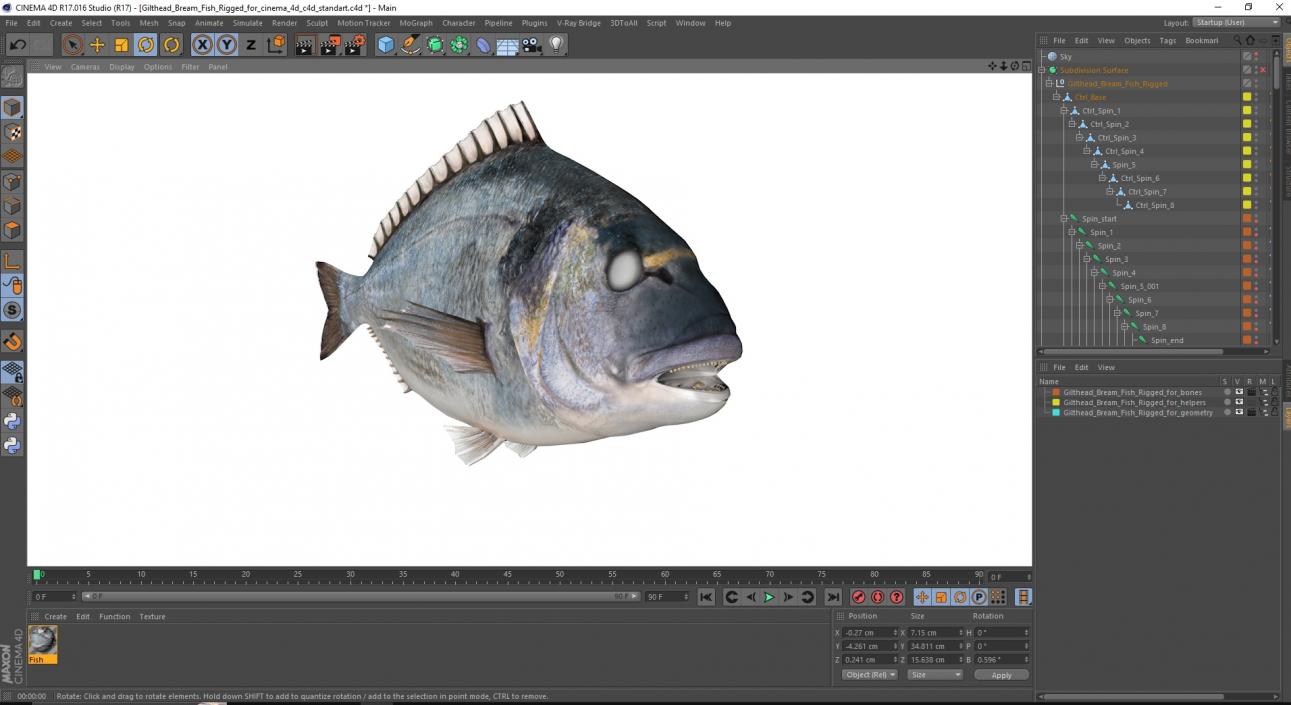 3D model Gilthead Bream Fish Rigged for Cinema 4D