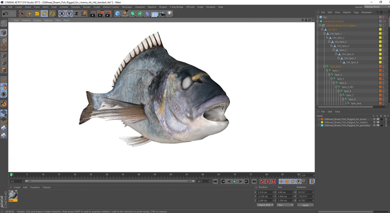 3D model Gilthead Bream Fish Rigged for Cinema 4D