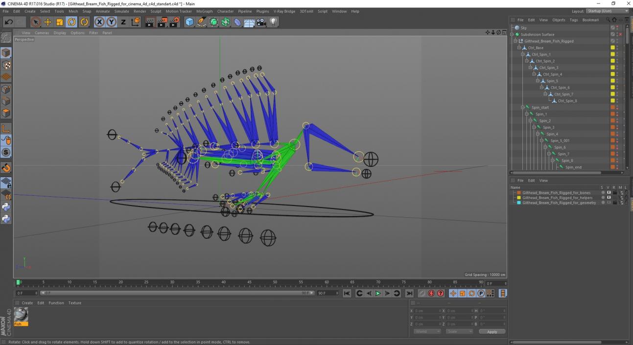 3D model Gilthead Bream Fish Rigged for Cinema 4D