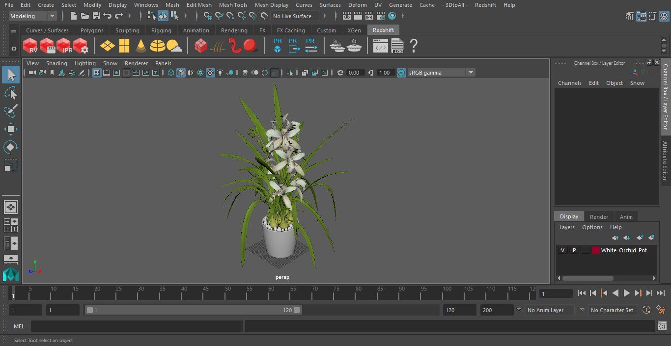 3D White Orchid Pot