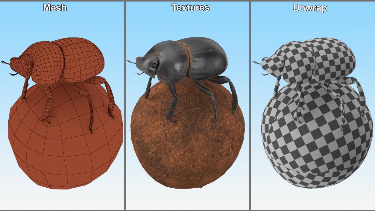 Scarabs on Sphere Dirt 3D