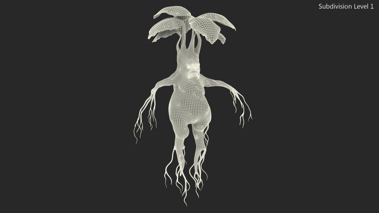 3D model Mandragora