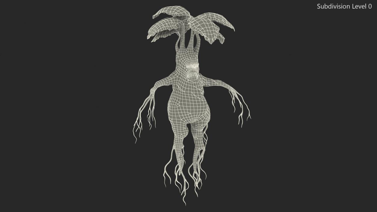 3D model Mandragora