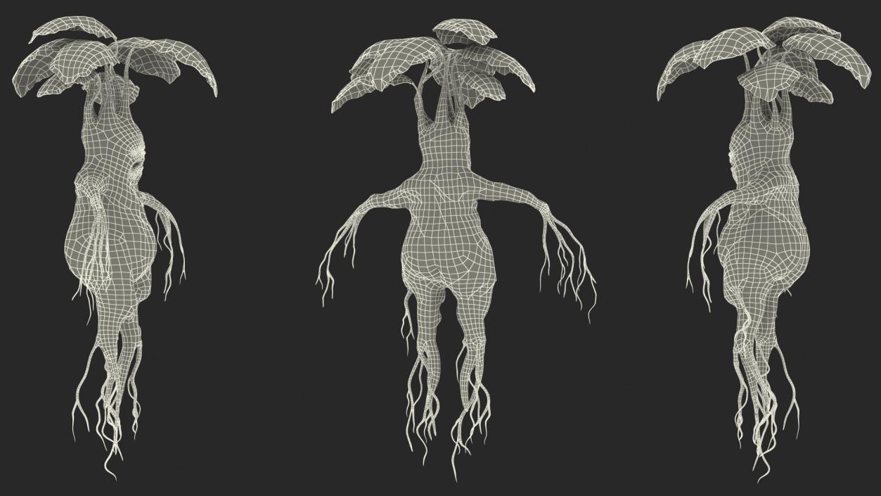 3D model Mandragora