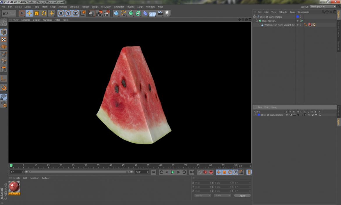 Slice of Watermelon 3D model