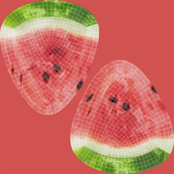 Slice of Watermelon 3D model