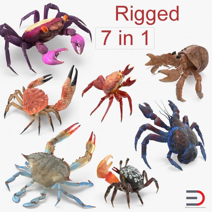 3D model Rigged Crabs Collection 2