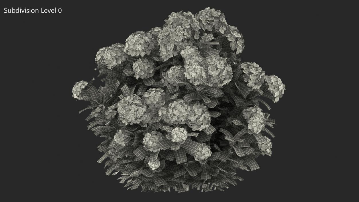 White Hydrangea Macrophylla Bush 3D