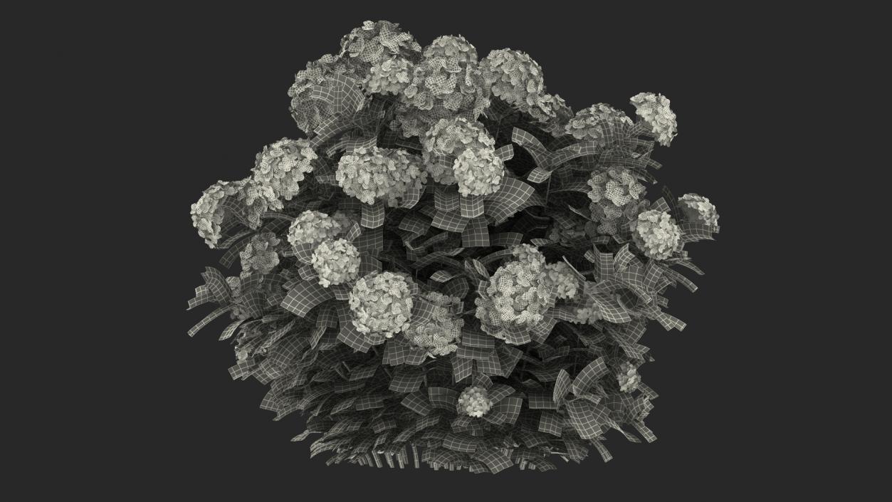 White Hydrangea Macrophylla Bush 3D