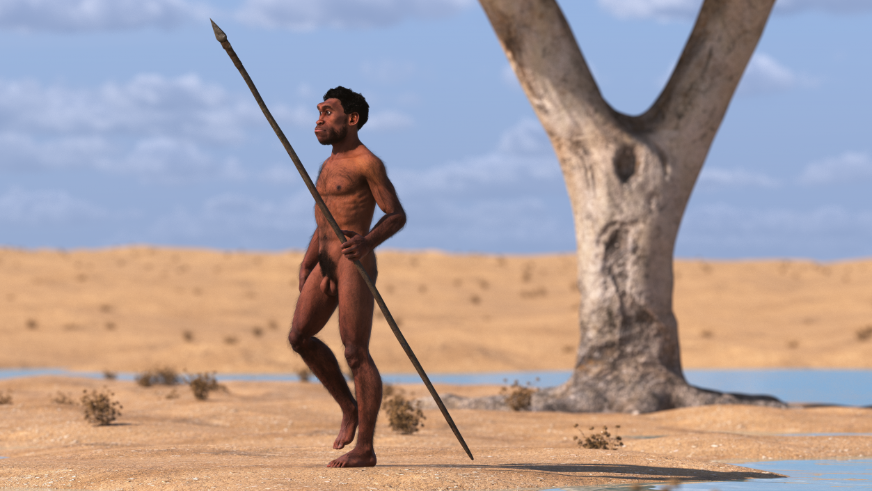 Homo Erectus with Spear Fur 3D