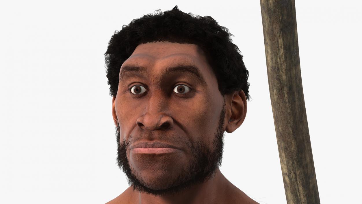 Homo Erectus with Spear Fur 3D