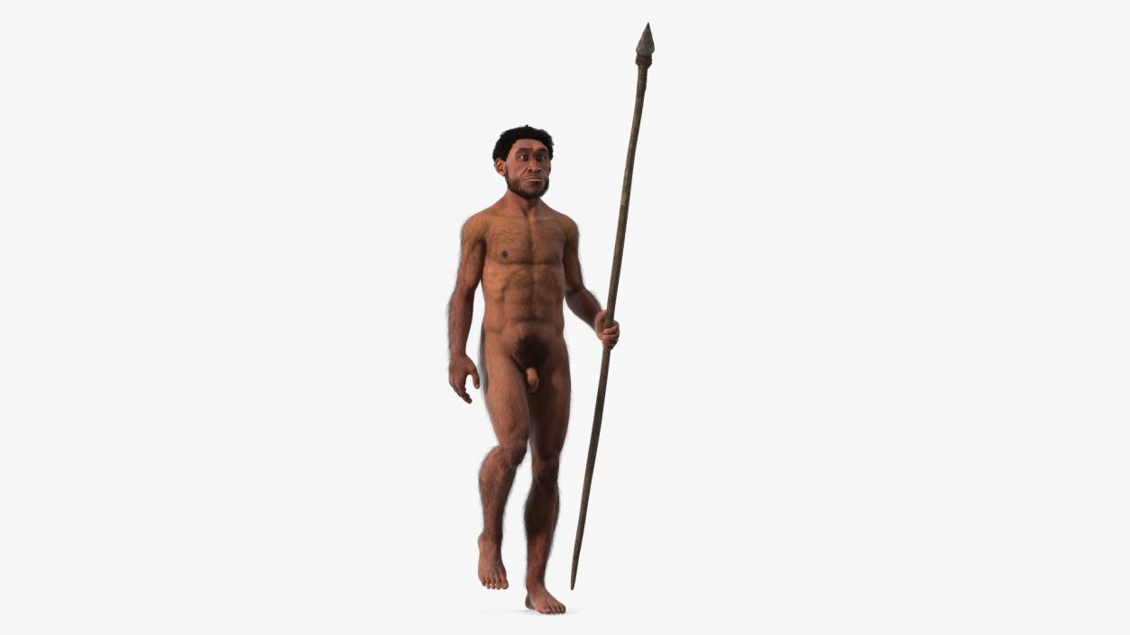 Homo Erectus with Spear Fur 3D