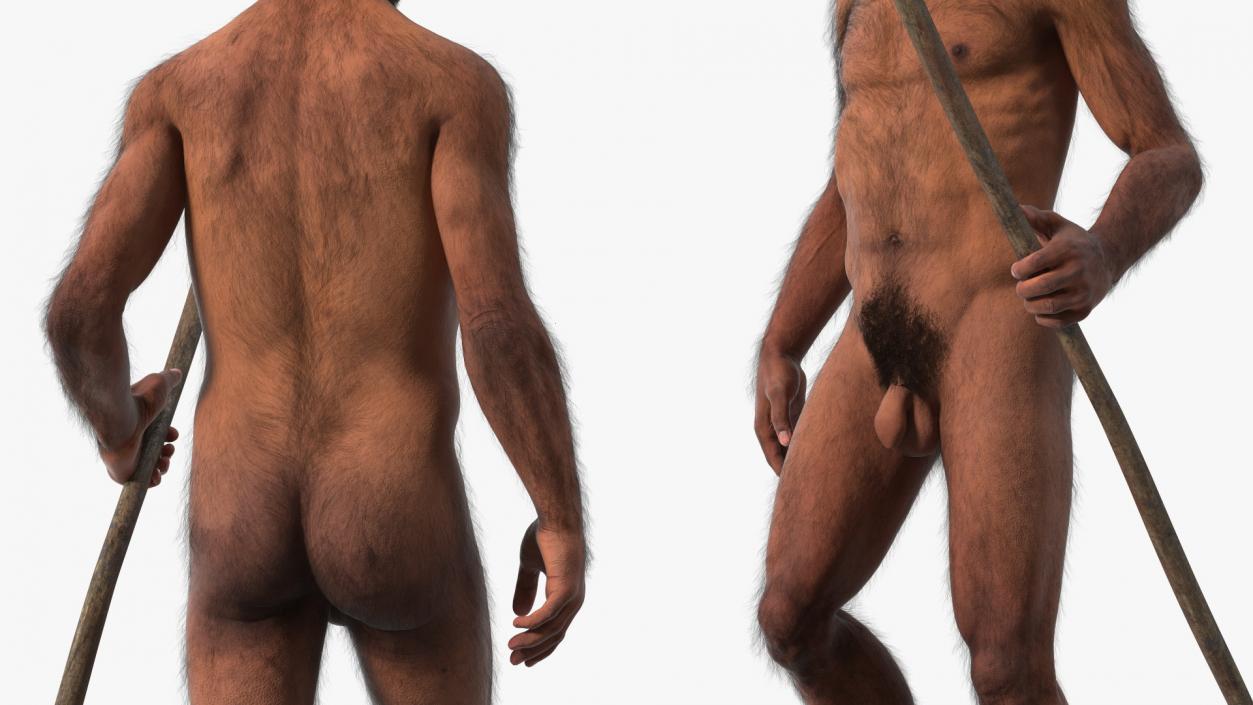 Homo Erectus with Spear Fur 3D