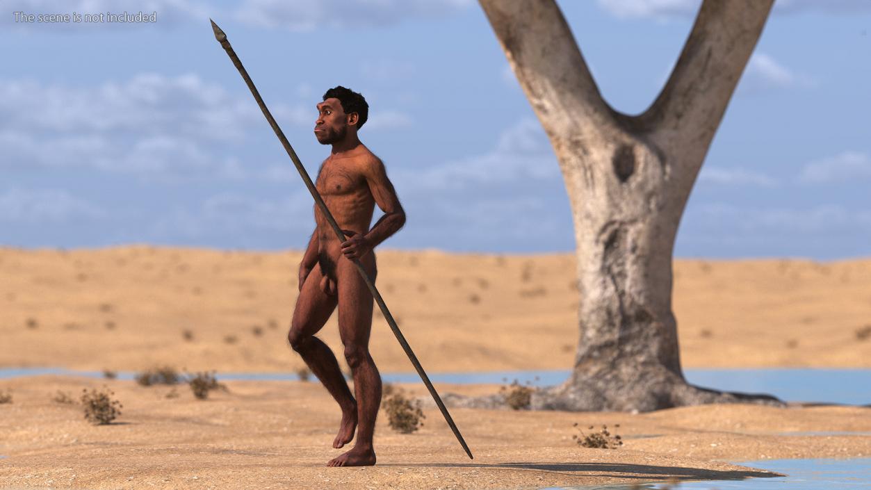 Homo Erectus with Spear Fur 3D