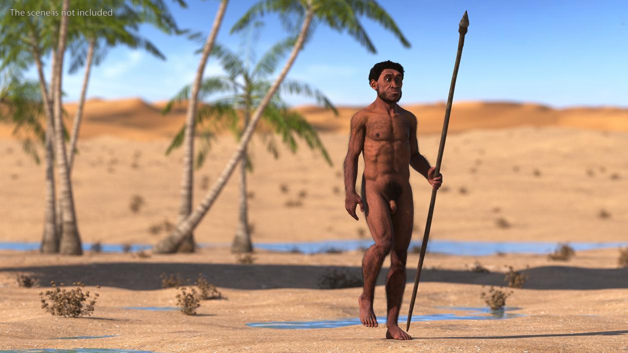 Homo Erectus with Spear Fur 3D