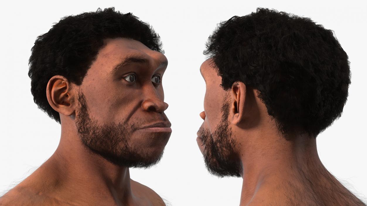 Homo Erectus with Spear Fur 3D