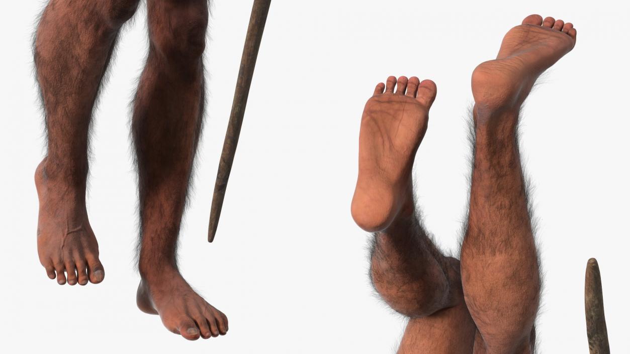 Homo Erectus with Spear Fur 3D