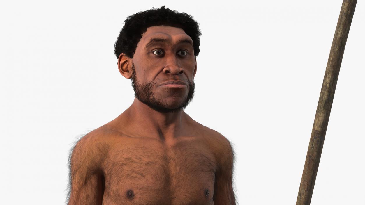 Homo Erectus with Spear Fur 3D