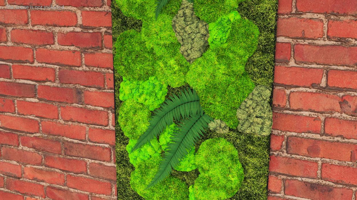 3D Natural Moss Wall with Preserved Plants Fur model