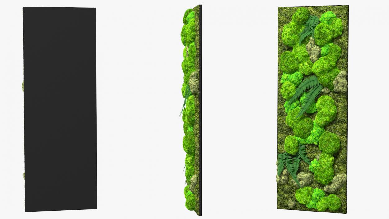 3D Natural Moss Wall with Preserved Plants Fur model