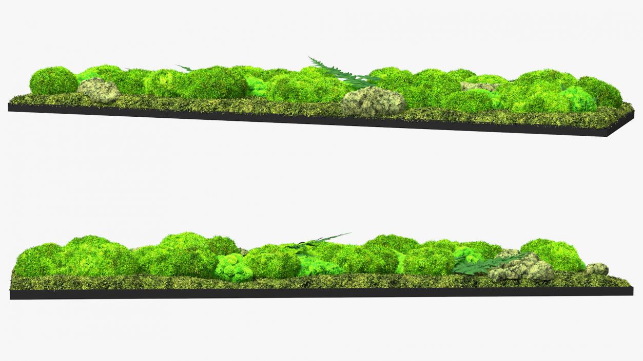 3D Natural Moss Wall with Preserved Plants Fur model