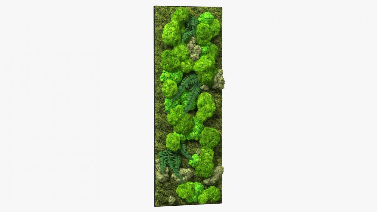 3D Natural Moss Wall with Preserved Plants Fur model