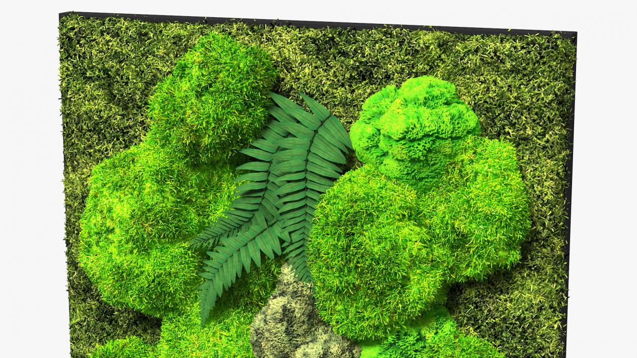 3D Natural Moss Wall with Preserved Plants Fur model